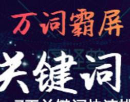 西藏優(yōu)化網(wǎng)站公司