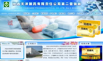 設計案例 陜西 萬企互聯(lián) 專業(yè)提供網站建設 網站推廣 微信營銷 小程序 域名注冊 虛擬主機 云服務器等業(yè)務
